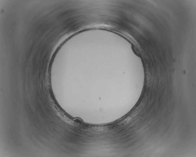 X0000073971044200609181446