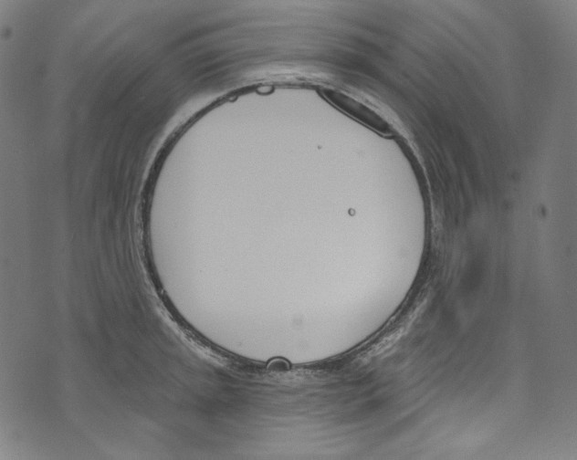 X0000073971045200609181446