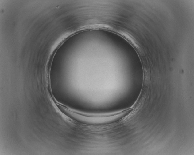 X0000073971046200609181446