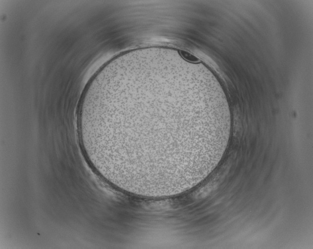 X0000073971047200609181446