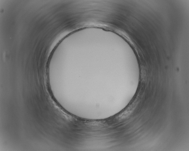 X0000073971048200609181446