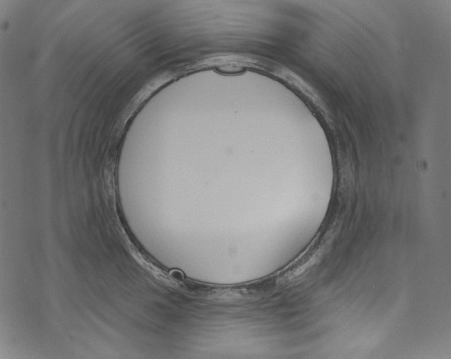 X0000073971049200609181446