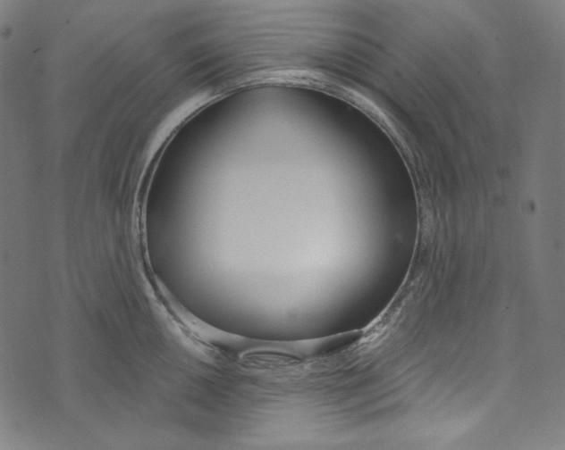 X0000073971050200609181446