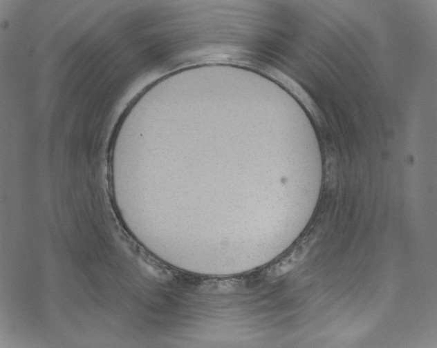 X0000073971051200609181446