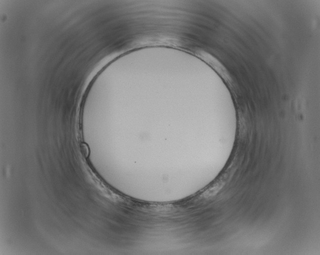 X0000073971052200609181446