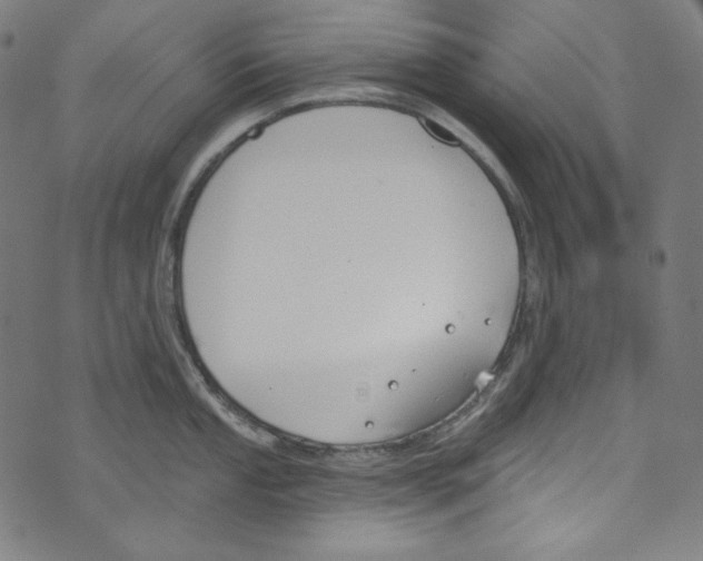 X0000073971053200609181446