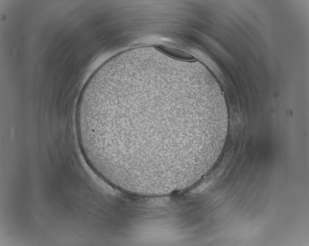 X0000073971055200609181446