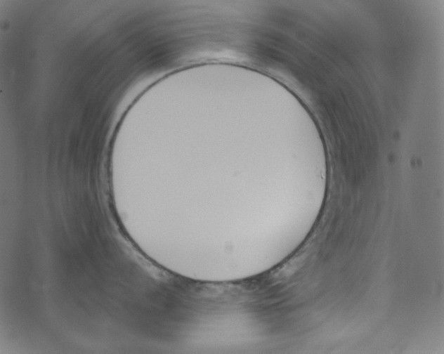 X0000073971056200609181446