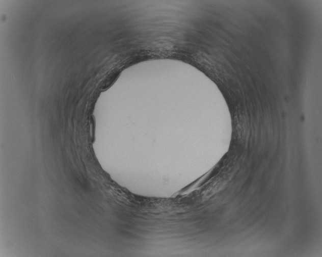 X0000073971057200609181446