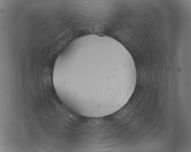 X0000073971058200609181446