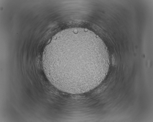 X0000073971059200609181446