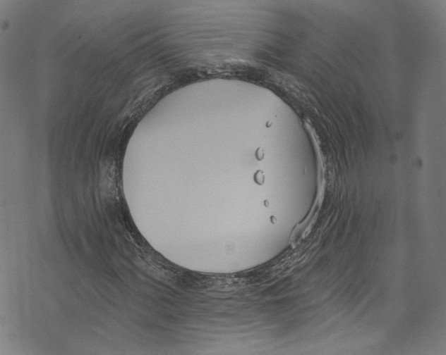 X0000073971060200609181446