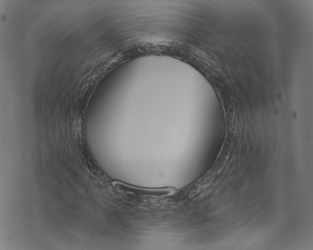 X0000073971061200609181446