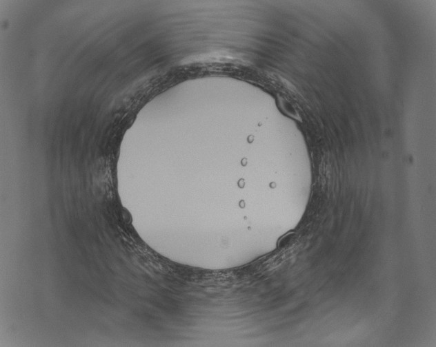 X0000073971062200609181446