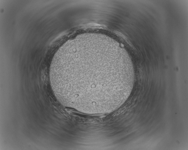 X0000073971063200609181446