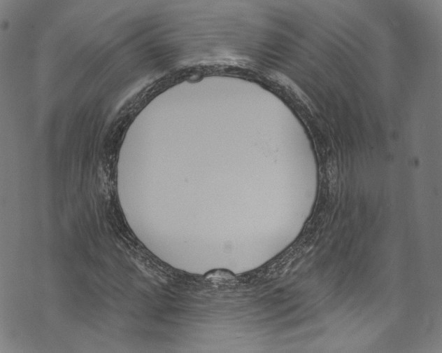 X0000073971064200609181446