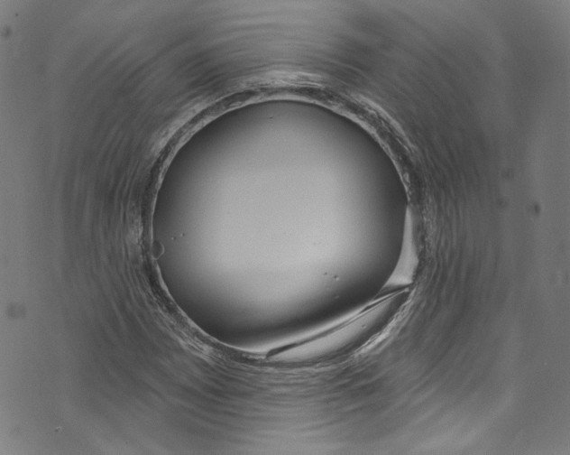 X0000073971065200609181446