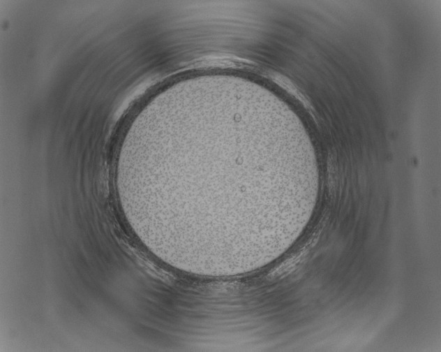 X0000073971067200609181446