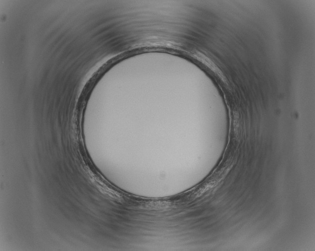 X0000073971068200609181445