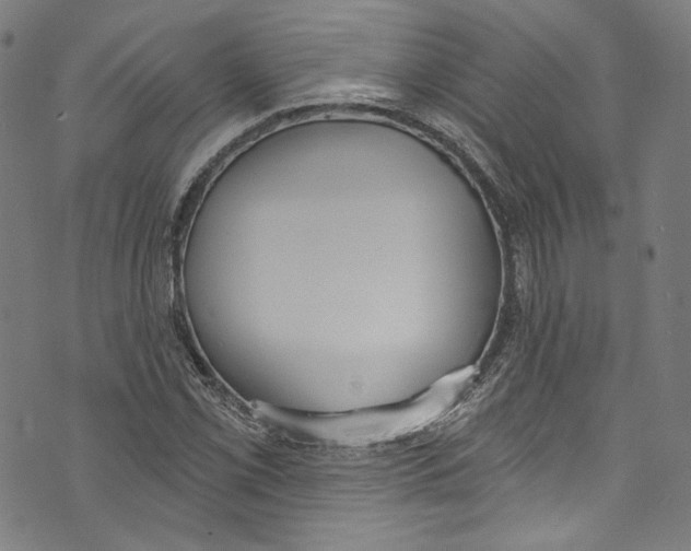 X0000073971069200609181445