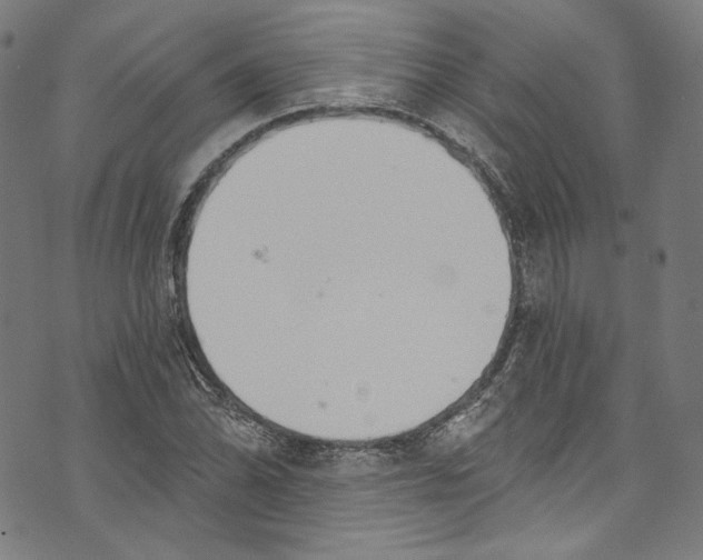 X0000073971070200609181445