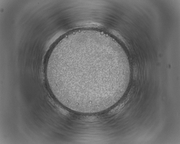 X0000073971071200609181445