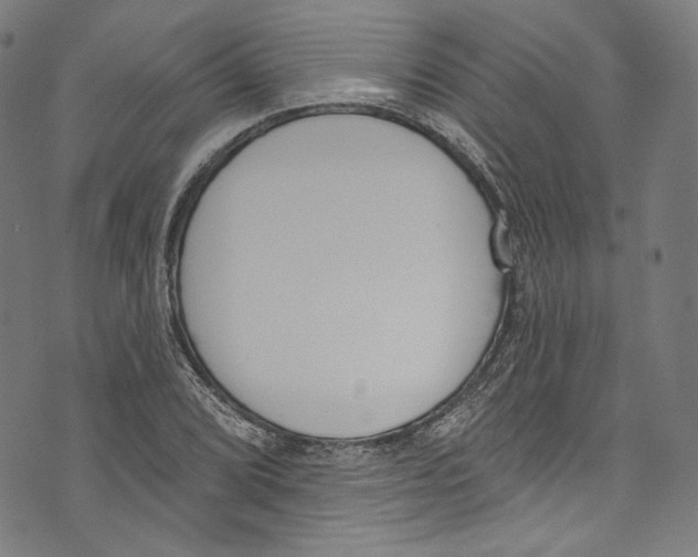 X0000073971072200609181445