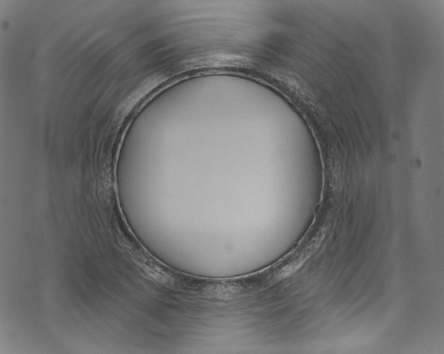 X0000073971073200609181445