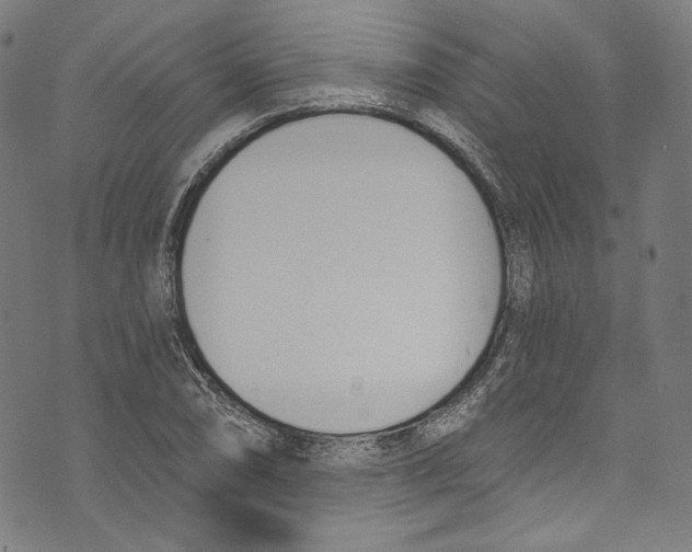 X0000073971074200609181445