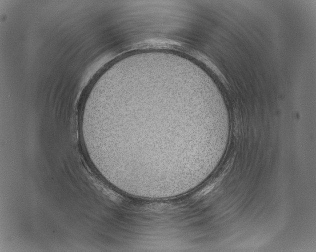 X0000073971075200609181445