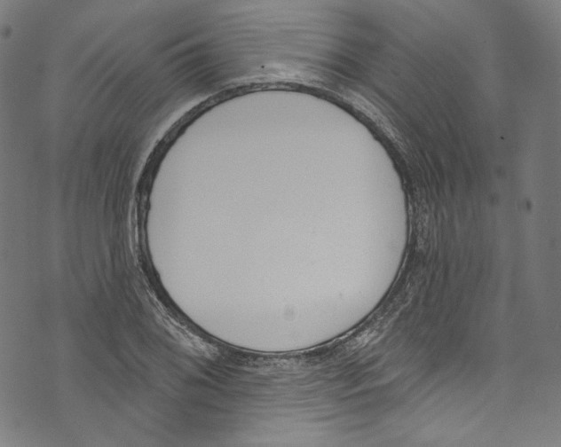 X0000073971076200609181445