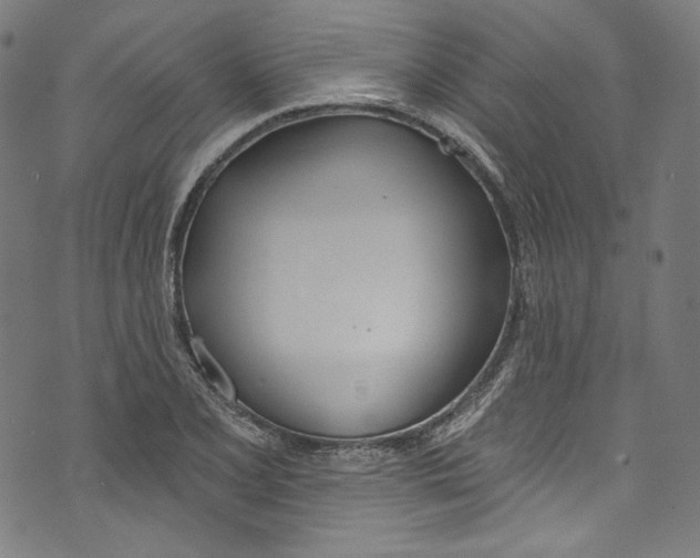 X0000073971077200609181445