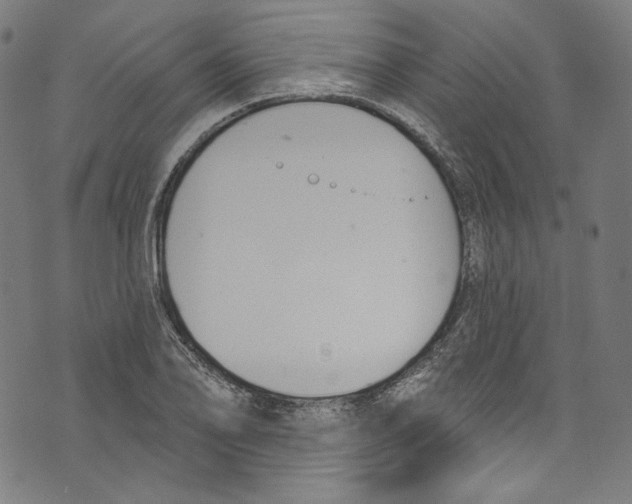 X0000073971078200609181445