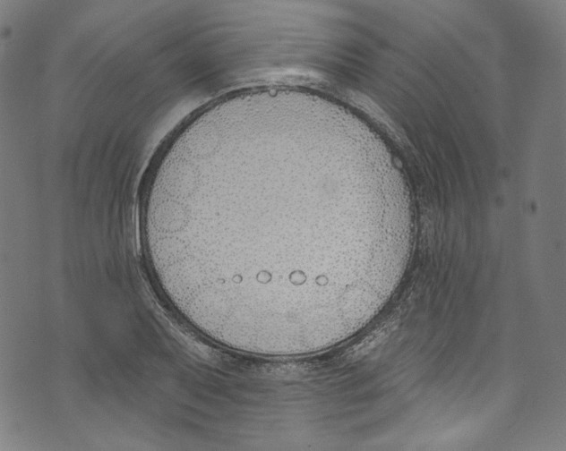 X0000073971079200609181445