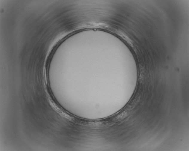 X0000073971080200609181445