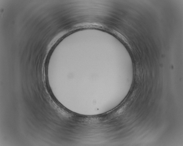 X0000073971082200609181445