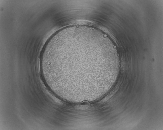 X0000073971083200609181445