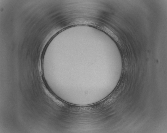 X0000073971084200609181445