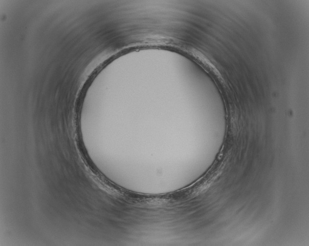 X0000073971085200609181445