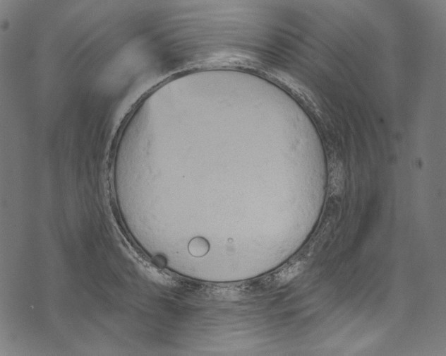 X0000073971086200609181445