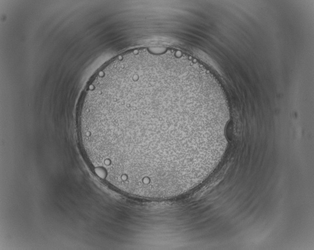 X0000073971087200609181445