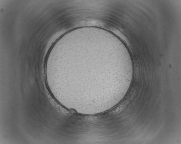 X0000073971088200609181445