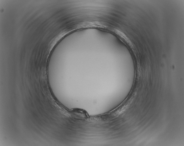 X0000073971089200609181445