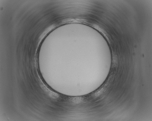 X0000073971090200609181445