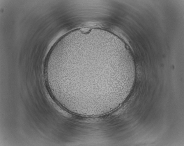 X0000073971091200609181445