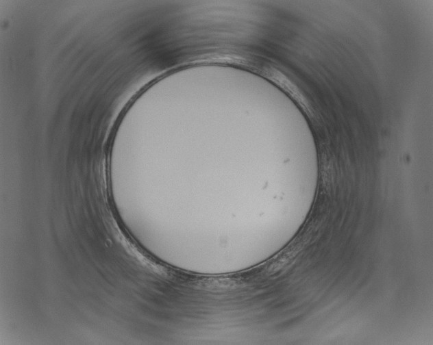 X0000073971092200609181445