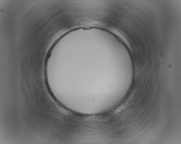 X0000073971093200609181445