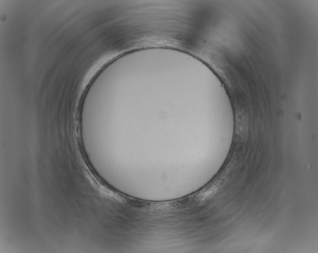 X0000073971094200609181445