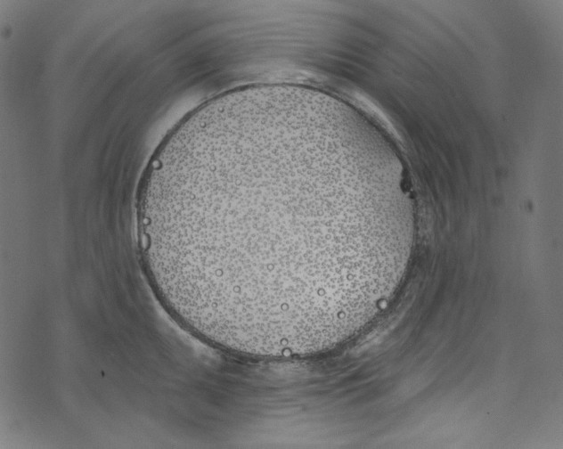 X0000073971095200609181445