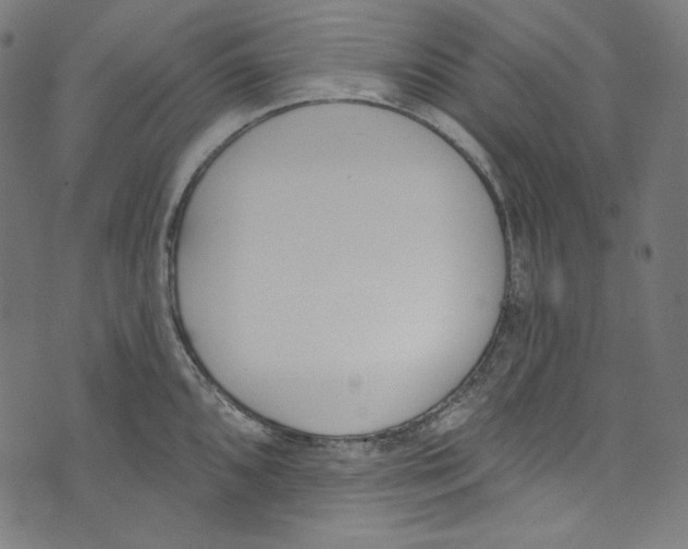 X0000073971096200609181445